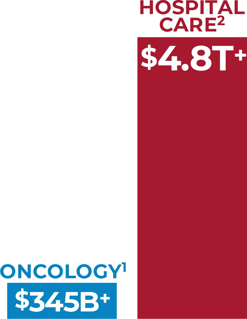 Market Size graphic